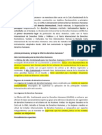 Derechos Humanos.docx