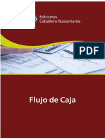 Flujo-de-caja.pdf