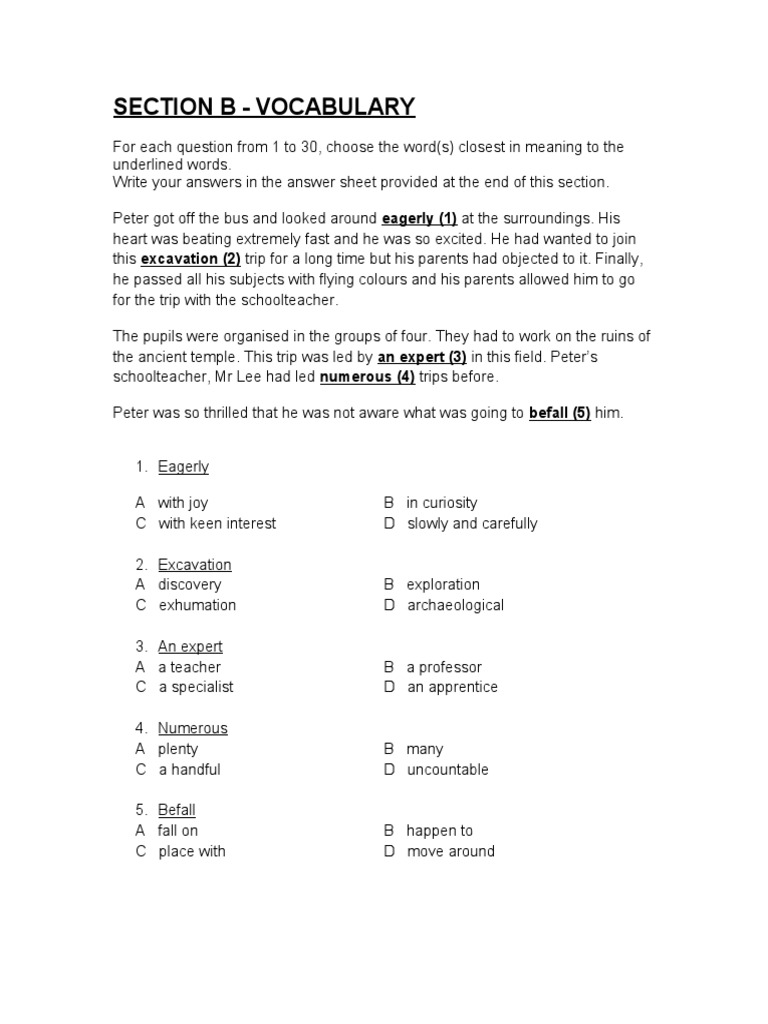 Section B - Vocabulary | PDF