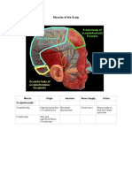 Galea Aponeurotica: Muscles of The Scalp