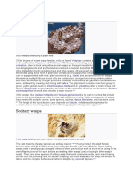 Social Wasps: Vespidae Vespinae Polistinae Warning Coloration Batesian Mimicry Müllerian Mimicry