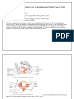 Anatomy and Physiology of The Female Reproductive Syste1