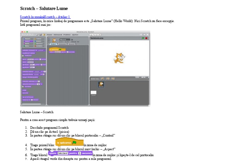 Scratch - Aplicatie 1 | PDF