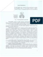 295224638-3-Paratiroida-pdf.pdf