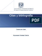 Citas Bibliografia