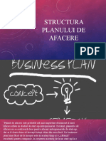 Structura Planului de Afacere