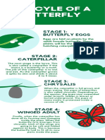Green Illustration Butterfly Timeline Infographic
