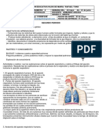 TALLER 2 SEGUNDO PERIODO NATURALES 4 -