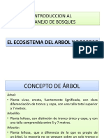 El Ecosistema Arboreo y Boscoso