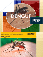 Clinica Dengue_04