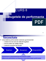 C8 Bugetele de Performanta