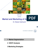 08 - SWOT-Analysis and Marketing Strategies PDF