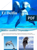 El Delfín