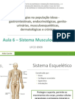 Aula 6 - Sistema Musculo-esquelético