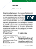 Fl111i PDF