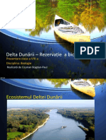 Delta Dunării (clasa a-8-a).pptx
