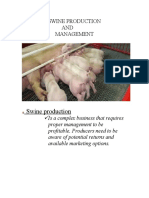 Swine Production