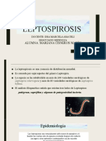 Leptospira y Leptospirosis