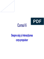Curs_6_Despre siaj [Compatibility Mode].pdf