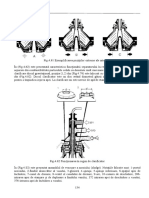 SNT_Capitolul4_2.pdf