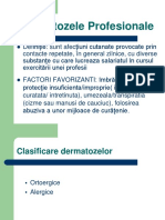 C5 DERMATOZELE PROFESIONALE.pdf