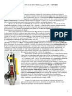 Dimensionamento_de_Valvulas_de_Seguranca_para_Gases.pdf