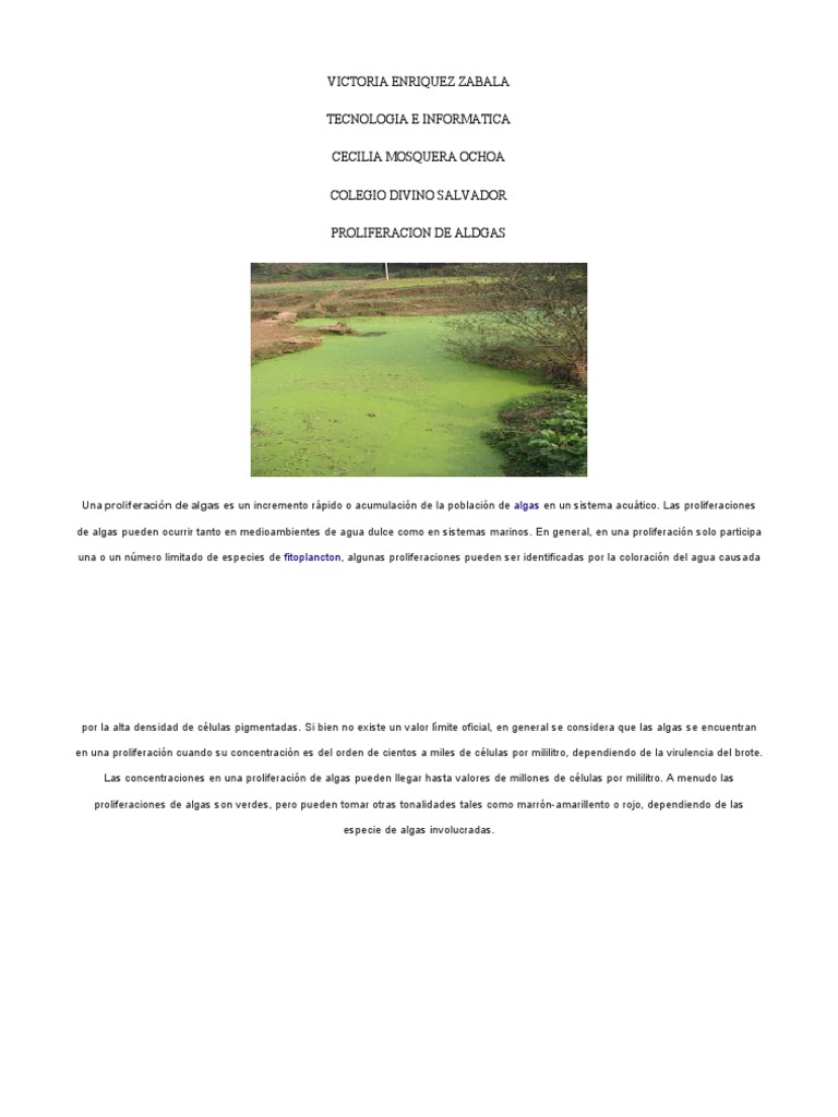 Proliferacion de Algas PDF