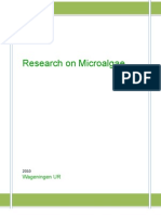 Research On Micro Algae
