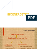 Bioenergética 1