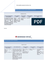 Metas Específicas y Programas de Acción Por Áreas.