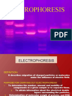 Electrophoresispresentation 100910225329 Phpapp01