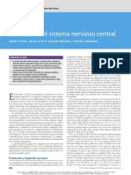 Malformaciones SNC Desarrollo PDF