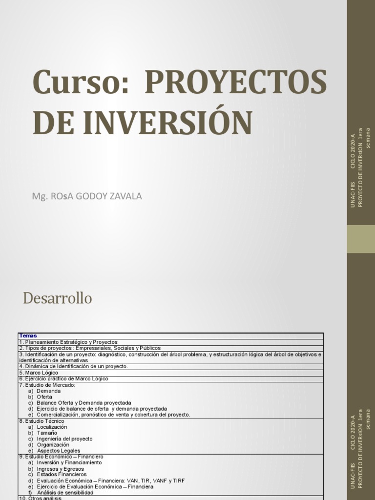 Proyectos de Inversión en el Sector Público | PDF | Inversiones ...