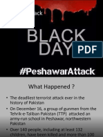 peshawarattack-160109052035.pdf
