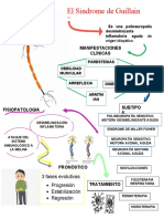 El Sindrome de Guillain Barre