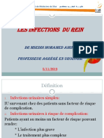 Les Infections Du Rein 2019.