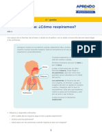 Cómo respiramos paso a paso