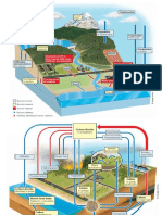 Geochemical Cycle