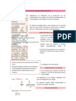 Patología Del Sistema Hematopoyético