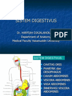 Sistem Digestivus-1