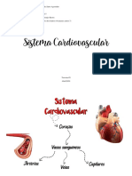 Mapa Conceitual SIS CARDIOVASCULAR