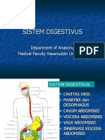 Digestivus 1