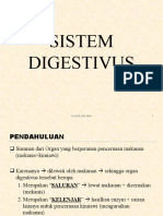 Sistem Digestivus (Jil)