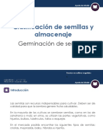 Clasificacion de Semillas y Almacenaje PDF