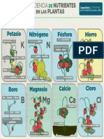 Deficiencia de Nutrientes en Las Plantas PDF