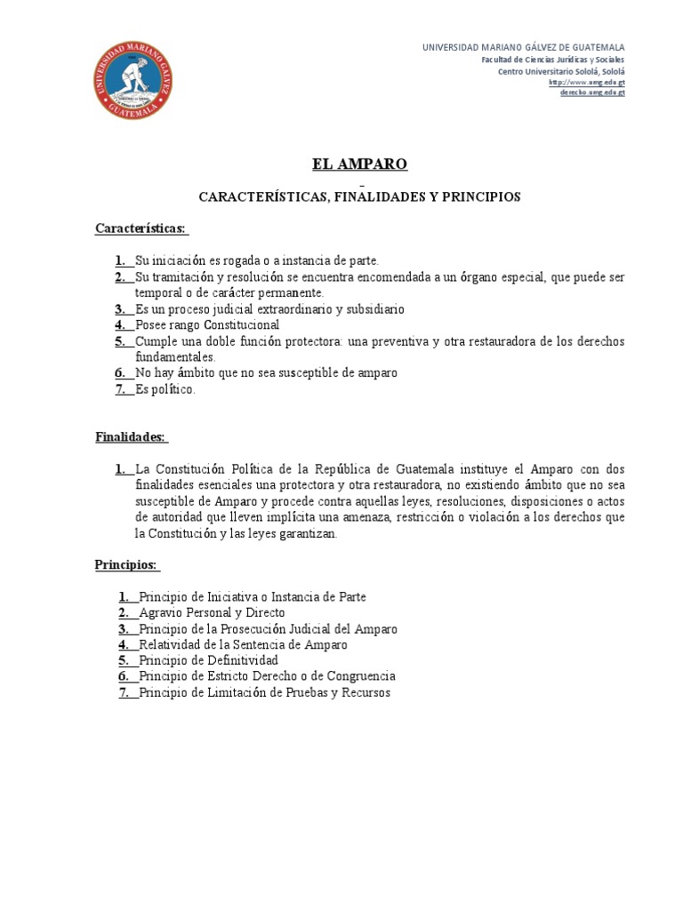 Principios y características del amparo | PDF