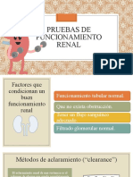 Renal (fisiopatologia)