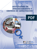 Programa Conjunto JEM Directorio Arequipa PDF