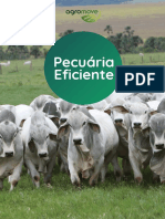 Pecuária Eficiente - Ebook PDF