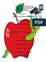 Informe Sobre La Rieb y Formato 2 y 3